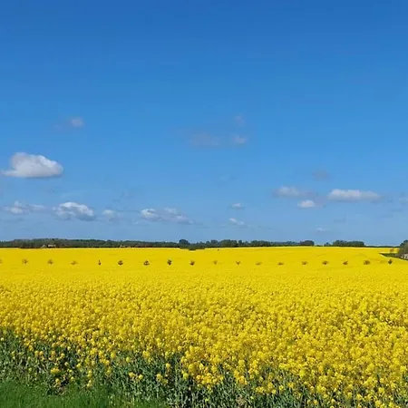 Hannes' Thatched House On Ruegen * Mellnitz