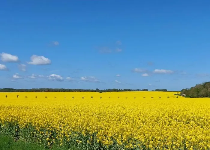 Hannes' Thatched House On Ruegen * Mellnitz